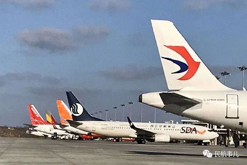 搶運物資外運產品 煙臺機場航空物流逆風上揚