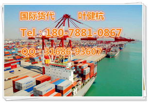 深圳鹽田到科特卡海運(yùn)靚價(jià)