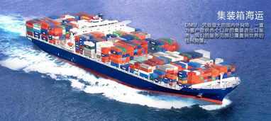 大木國際物流邀您參觀義烏物流展c1 b85展位