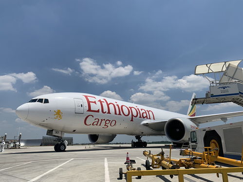 湖南開通首條直飛非洲貨運(yùn)航線 長沙至亞的斯亞貝巴首航