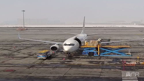 新疆國(guó)際貨運(yùn)包機(jī)業(yè)務(wù)全面恢復(fù)，為國(guó)際物流注入新動(dòng)能